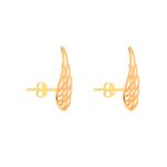 brinco-asa-lateral-BROAASASP2791